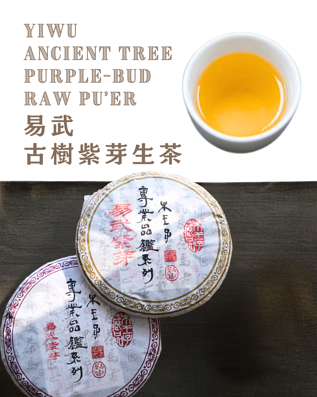 Raw Pu'er - Yiwu Mountain Ancient Tree Purple Buds 易武古樹紫芽生茶