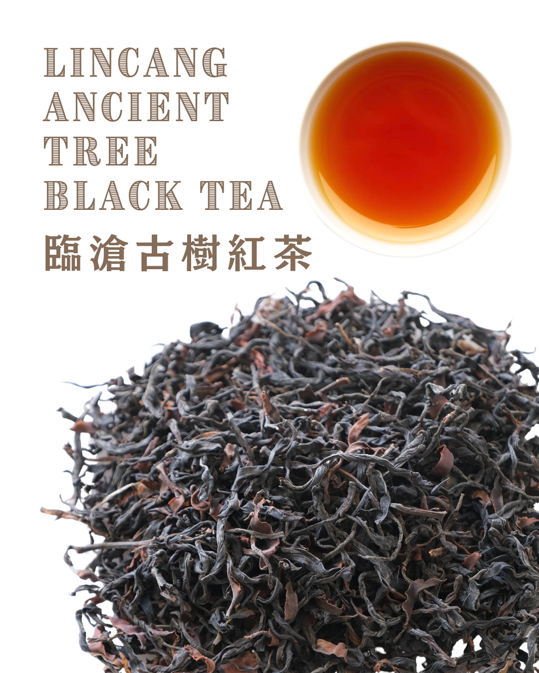 Lincang Ancient Tree Black Tea 臨滄古樹紅茶
