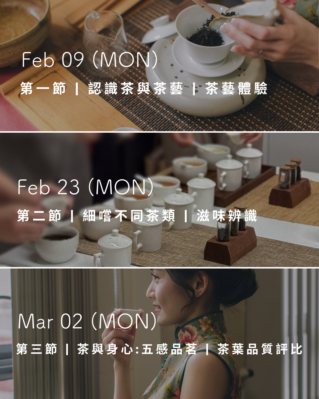 3-session Workshop — Tea Tasting 品茗工作坊