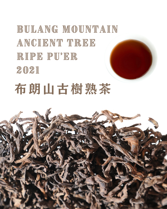 Ripe Pu'er - Bulang Mountain Ancient Tree 2021 布朗山古樹熟茶