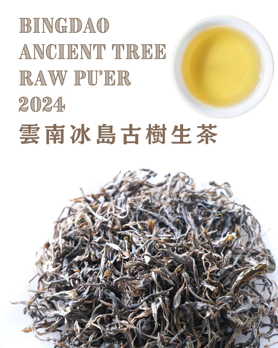 2021 布朗山古樹熟茶