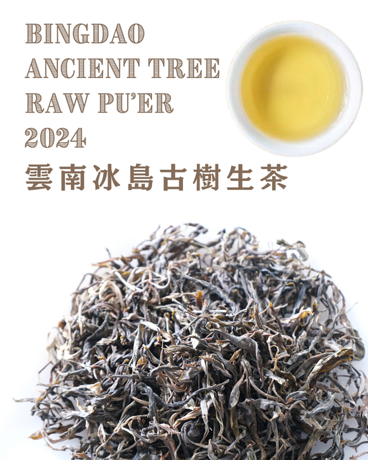 Raw Pu'er - Bingdao Dijie Ancient Tree (Loose Leaf) 2024 冰島地界古樹生茶 (散茶)
