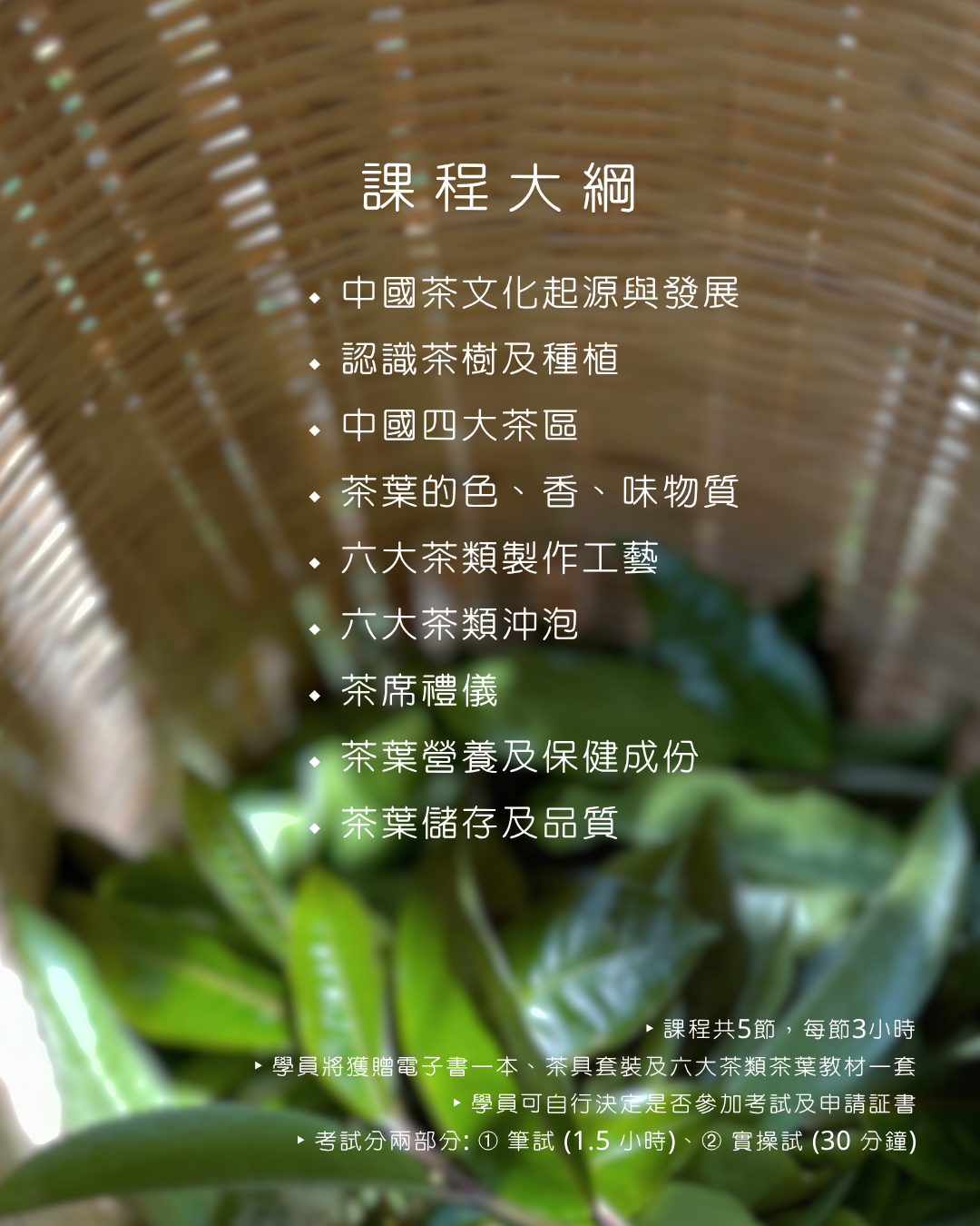 茶學入門及茶道養生 — 證書課程