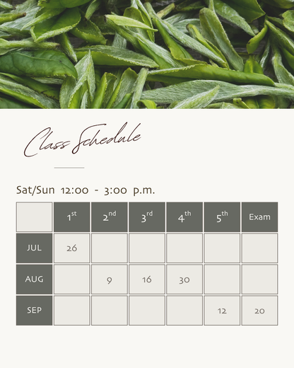 [Certification Course] Introduction to Tea Studies and Tea Wellness