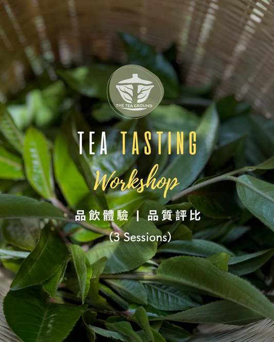 3-session Workshop — Tea Tasting 品茗工作坊