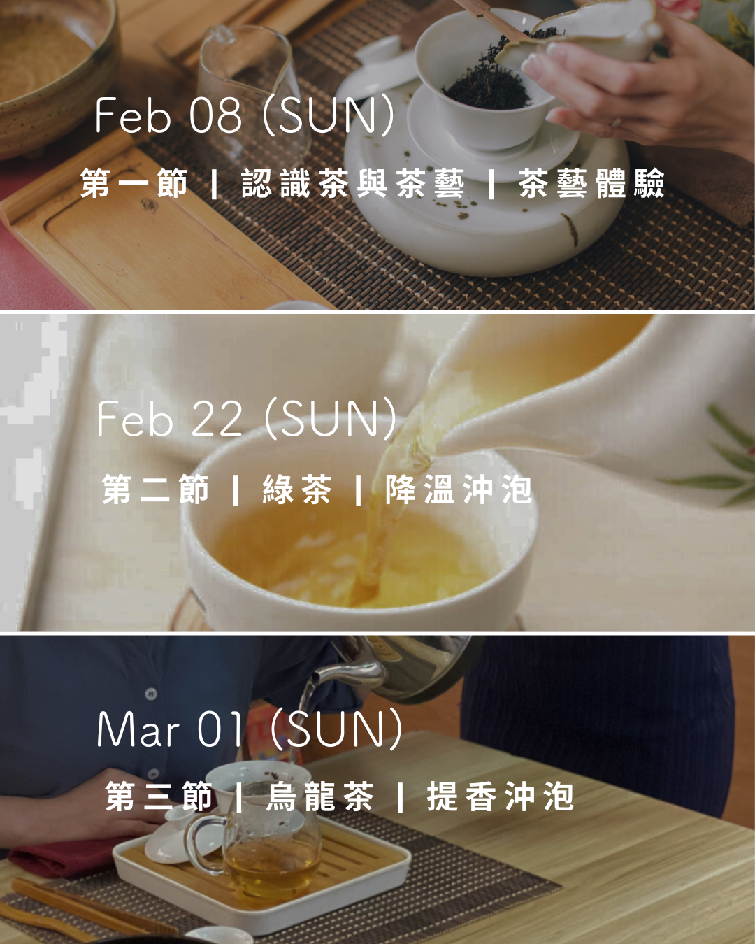 3-session Workshop — Tea Art and Brewing 茶藝沖泡工作坊