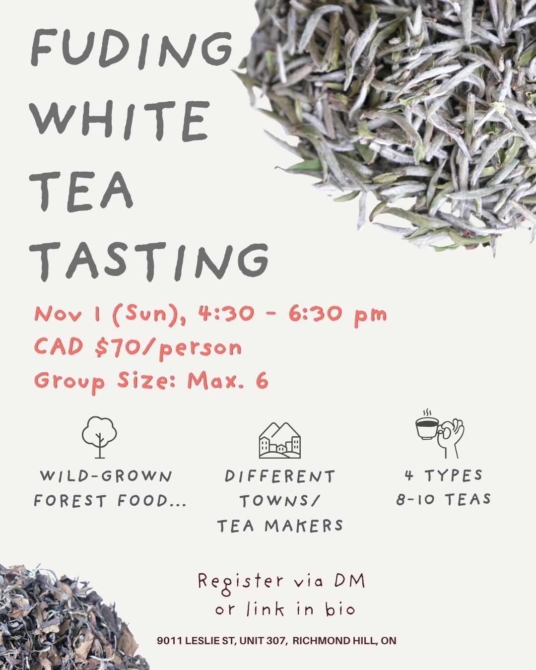 福鼎白茶 Tea Tasting