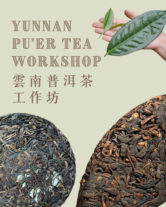 Yunnan Pu'er Tea 雲南普洱茶