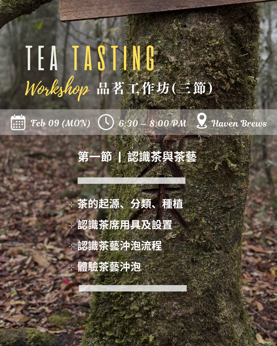 3-session Workshop — Tea Tasting 品茗工作坊